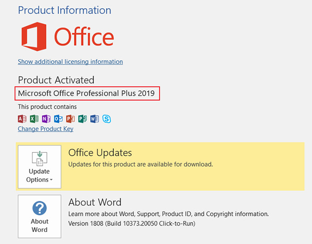 Novo (A) Documento Do Microsoft Word